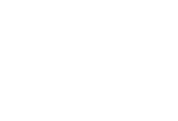 freeCodeCamp